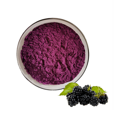 Mulberry Powder Factory Supply Best Quality Mulberry Fruit Juice Powder