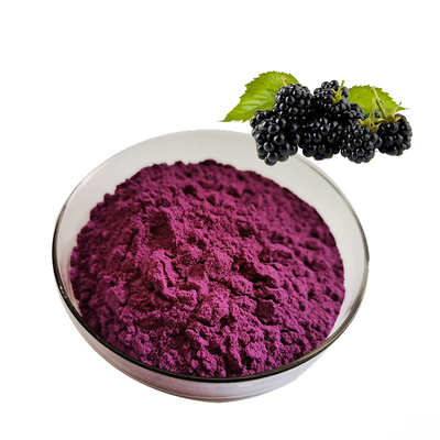 Mulberry Powder Factory Supply Best Quality Mulberry Fruit Juice Powder