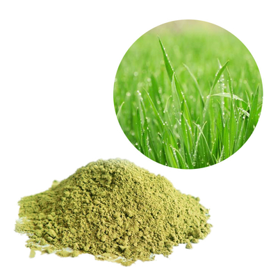Health Beneficial Food Grade Additives Herbal Extract Barley Grass Powder