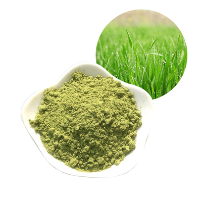 High Purity Natural Barley Grass Powder For Nutrition Supplement