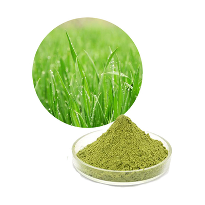 Organic Herbal Extract Barley Grass Juice Powder 1kg/ Bag