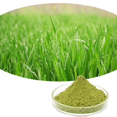 100% Pure Barley Grass Extract Powder Anti Fatigue
