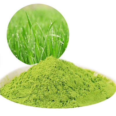 Organic Leaf Extract Barley Grass Juice Powder 100 Mesh