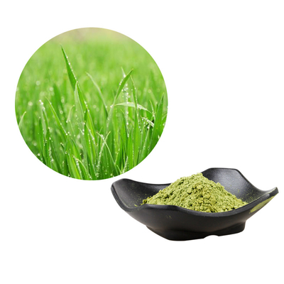 Organic Barley Grass Powder For Healthy Food Beverage