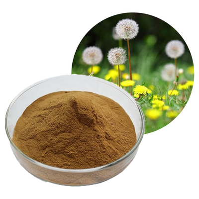 10:1 Bulk Taraxacum Mongolicum Dandelion Herb Root Leaf Extract Powder