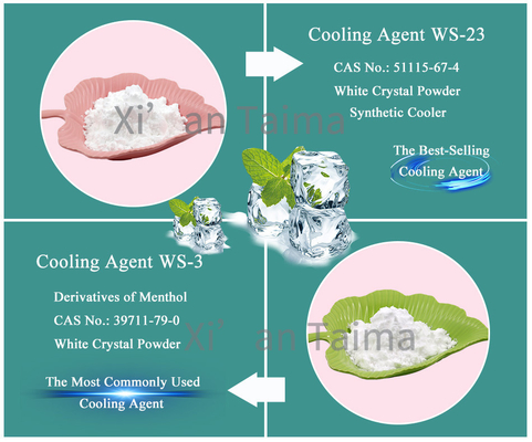 Taima bulk cooling agent ws-23 powder cooling agent ws-23
