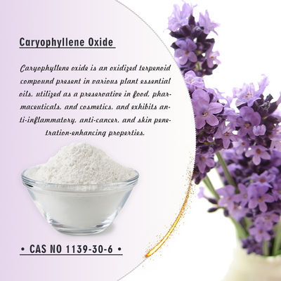 99% Pure Caryophyllene Oxide White Powder Soluble in Water for Flavor & Fragrance and Cooling Agent Applications
