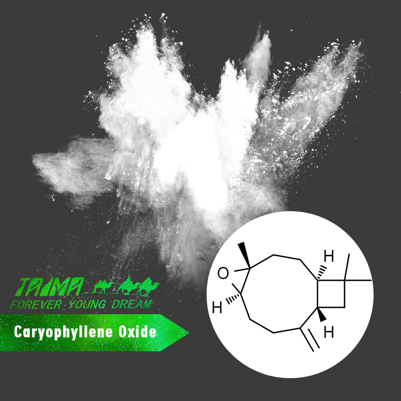 향수 및 화장품용 고순도 카리오필렌 산화물 분말