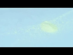 spray dried pineapple powder