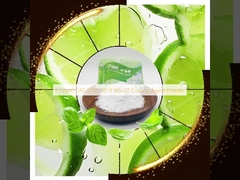 E Liquid CAS 51115-70-9 WS-27 Cooling Agent Powder